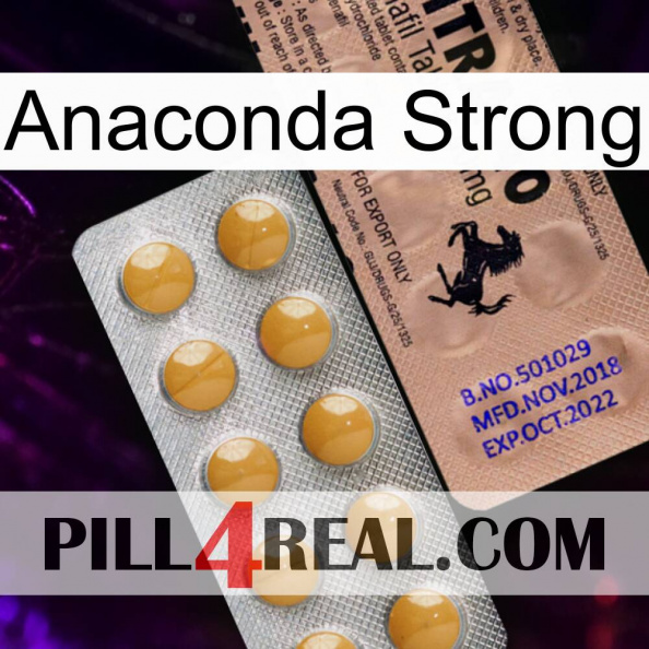 Anaconda Strong 41.jpg